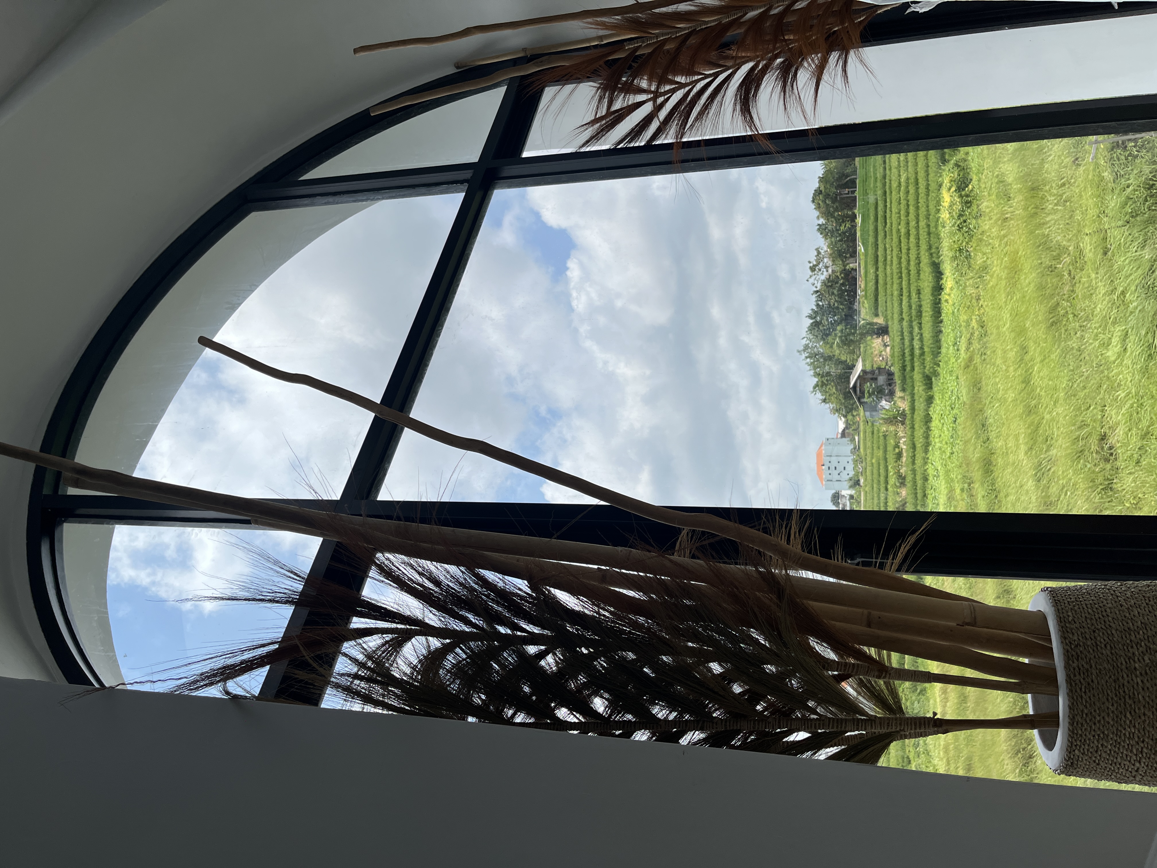 Rice field view from a room window